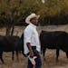 Albert Johnson Jr. walks among the cattle on his family farm near Lexington, Mississippi, on Nov. 9, 2023. Credit: Imani Khayyam for the Ag &amp; Wate