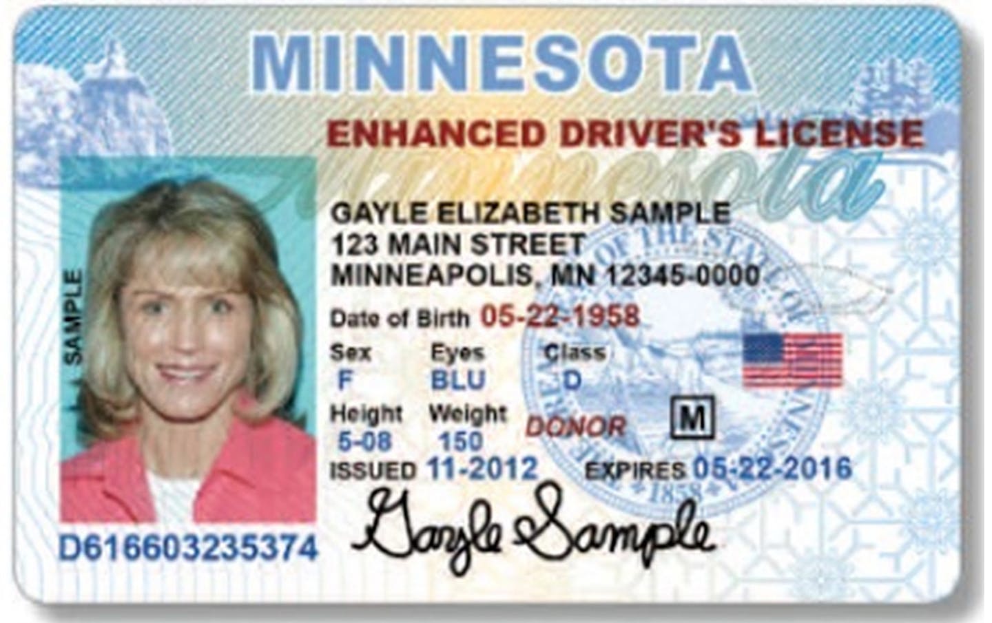 Minnesota sample identification card and drivers license. This is a sample provided by the Minnesota department of Public Safety ORG XMIT: MIN1509261615310292 ORG XMIT: MIN1605171306411468