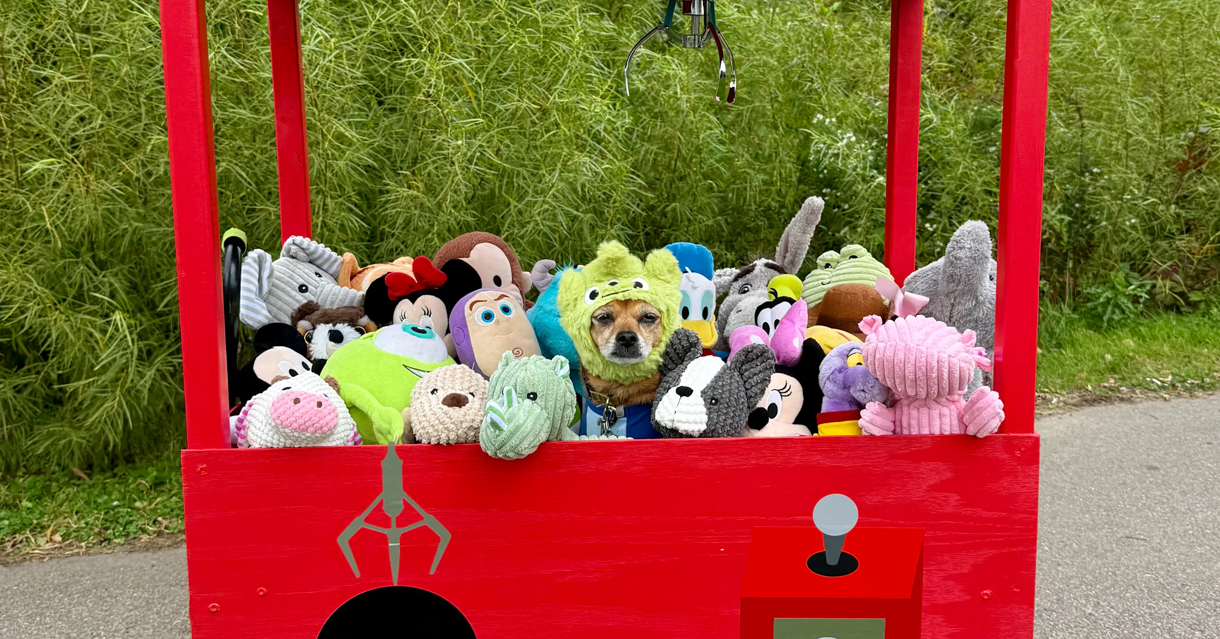 Enter your furry friend in the 2026 Star Tribune Halloween Pet Costume ...