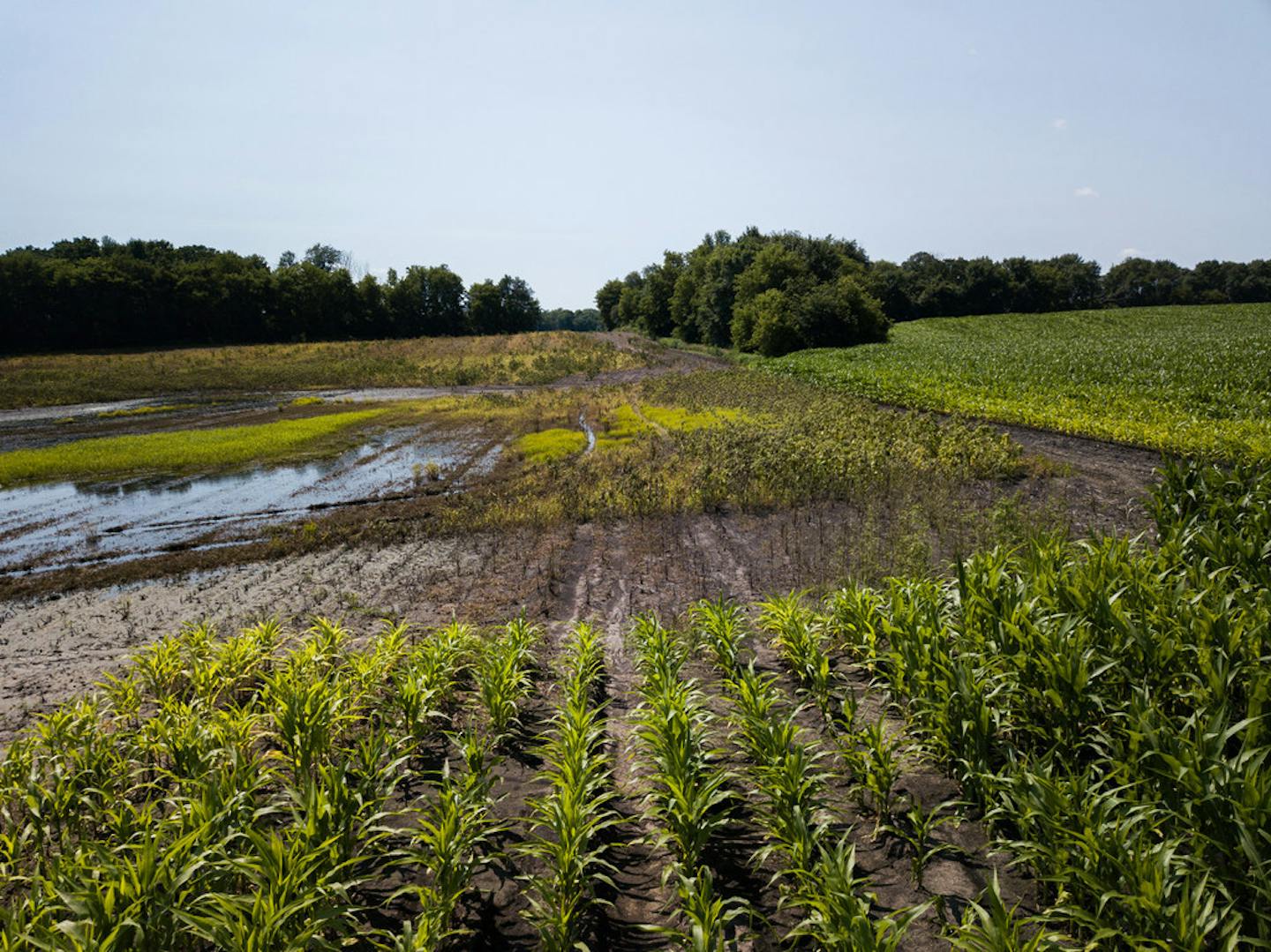 Things are not OK for a lot of Minnesota farmers right now: They are collateral damage in an escalating, multifront trade war. Prices and income are lower. Plus, this year's weather has included barn-crushing snowfall as well as spring floods.