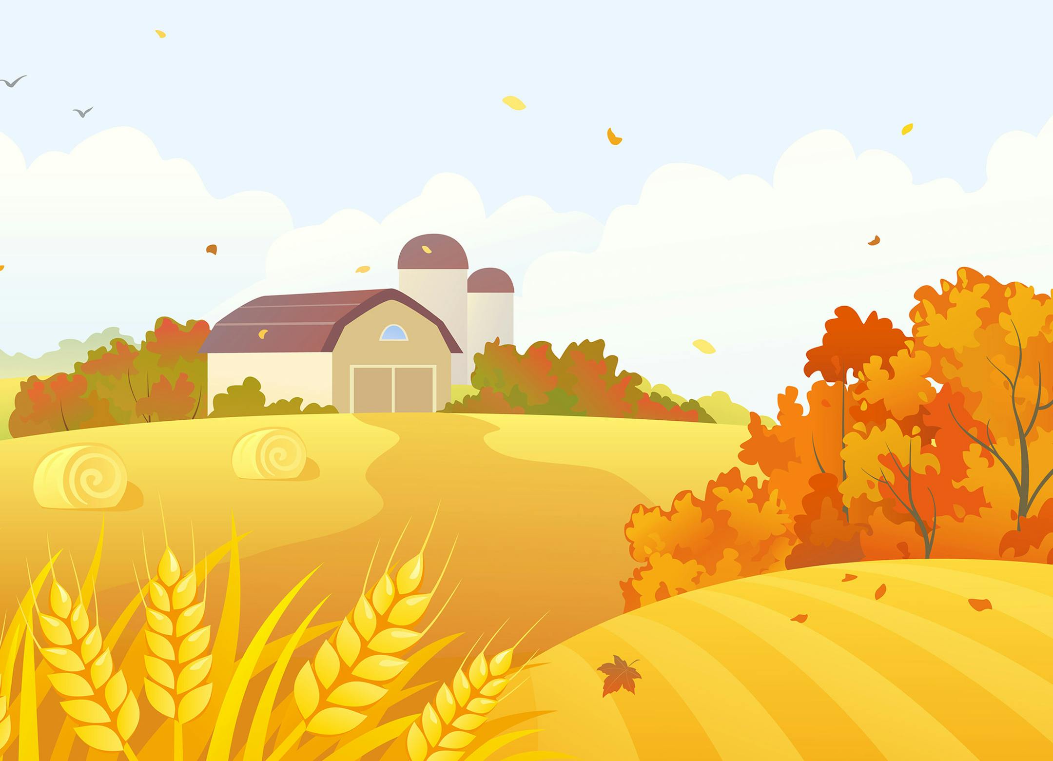 iStockphoto.com
