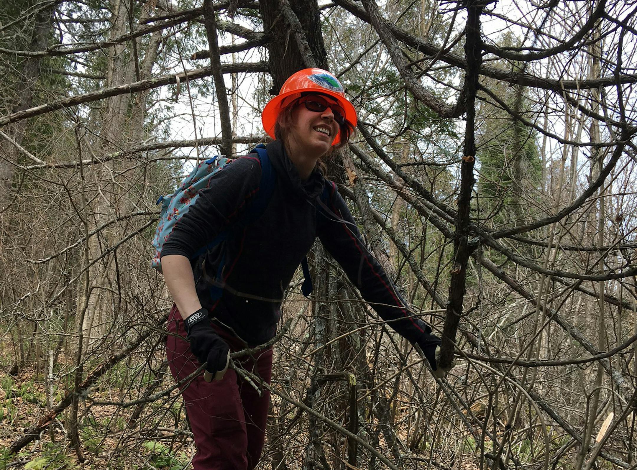 Jennifer Berthiaume of Ramsey cleared brush May 13 along the Superior Hiking Trail. Berthiaume had never set foot on the trail until the volunteer weekend.