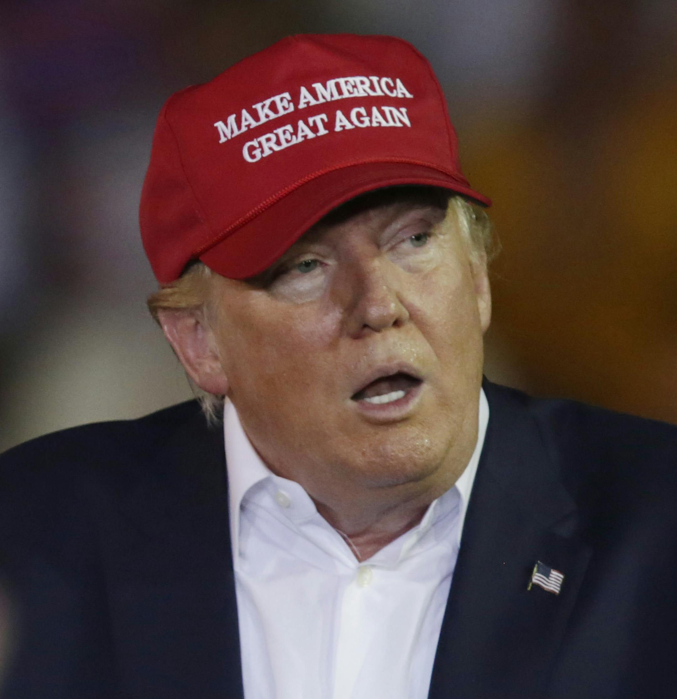 Republican presidential candidate businessman Donald Trump speaks during a campaign pep rally, Friday, Aug. 21, 2015, in Mobile, Ala. (AP Photo/Brynn Anderson)