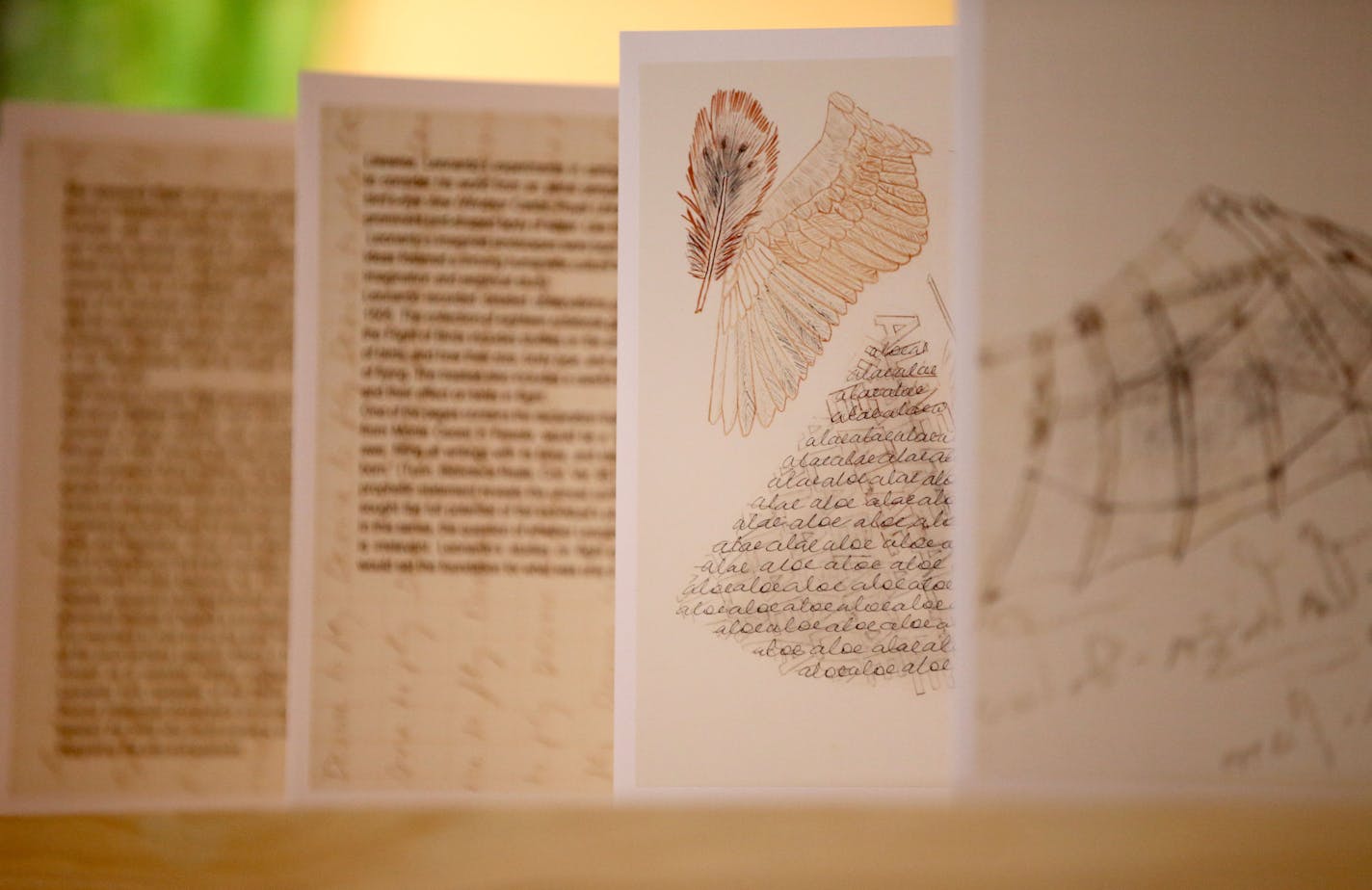 Croatian immigrant and Minneapolis artist Vesna Kittelson's new show, Da Vinci and the Drone, imaginatively explores the history and development of flight from Icarus through Leonardo to the modern drone and its implications. The show opens Friday 20 May, at Form+Content Gallery. Here, detail from Kittelson's DaVinci and the Drone artist's book is visible at her studioTuesday, May 10, 2016, in Minneapolis MN. ](DAVID JOLES/STARTRIBUNE)djoles@startribune.com Growing up in Yugoslavia before its vi