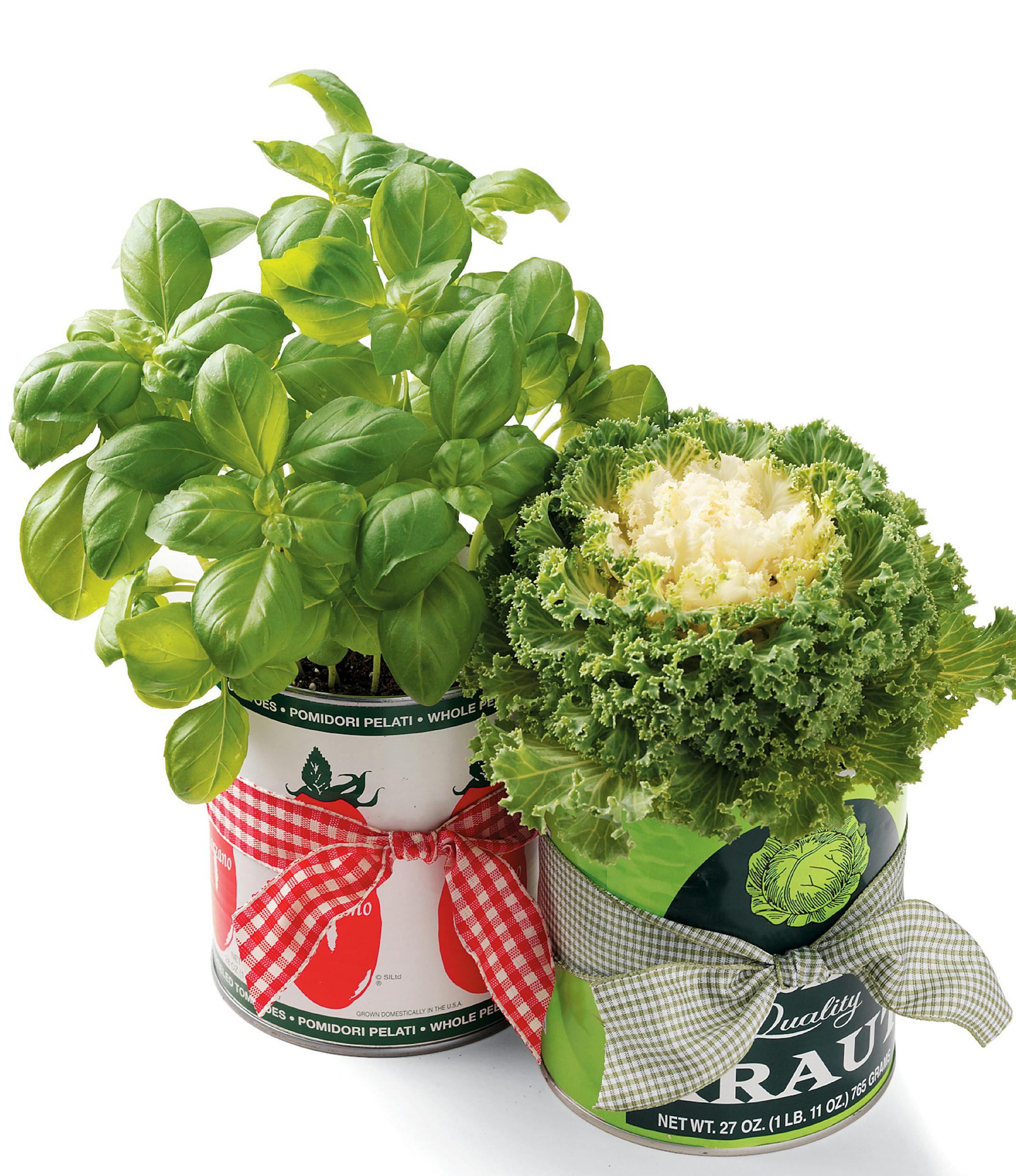 Learn how to grow your own veggies and herbs.