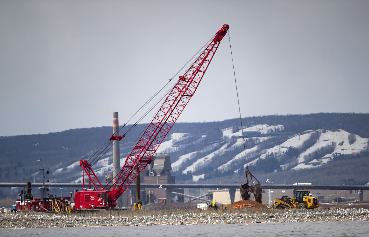 A crane distributed dirt around Interstate Island in an effort to double its size and expand a nesting site for the common tern.