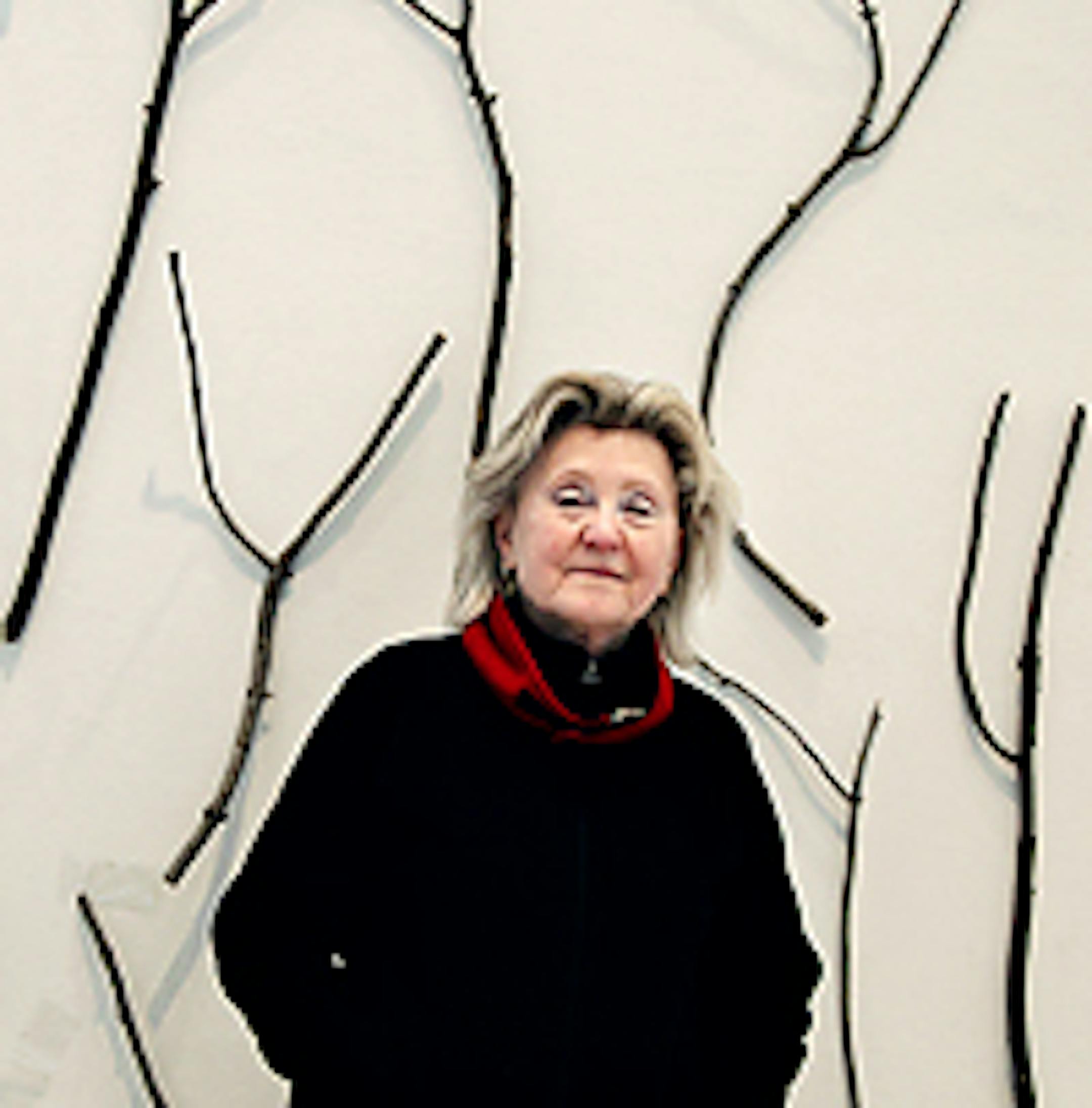 Alaska is "the grand land," says artist Carole Fisher, standing in front of an installation for her new show at MCAD. "We need to preserve it."