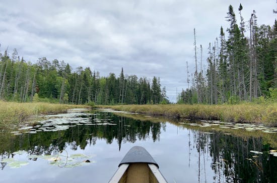 Boundary Waters Canoe Area Wilderness (BWCA), Thoughts on this