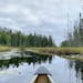 Permits for the quota season in the Boundary Waters Canoe Area Wilderness will open to reservations on Jan. 31.