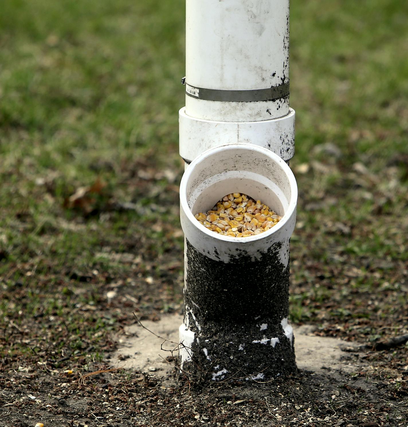 An ongoing dispute between neighbors over feeding deer erupted in gunfire Monday night in New Brighton. One man is dead, another victim is hospitalize. Here, corn sits in a feeder on the lawn of the victim and apparently part of the source of the conflict Tuesday, May 6, In New Brighton, MN.](DAVID JOLES/STARTRIBUNE) djoles@startribune An ongoing dispute between neighbors over feeding deer erupted in gunfire Monday night in New Brighton. One man is dead, another victim is hospitalized. Suspect,