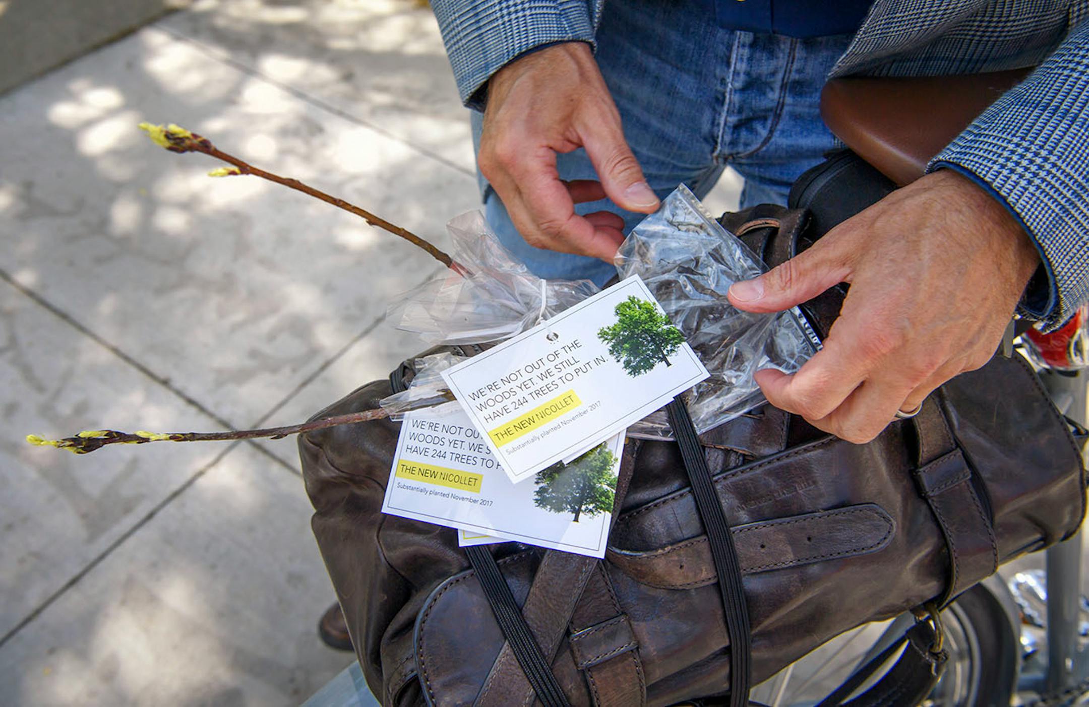 David Wilson, chair of Green Minneapolis placed two free trees on his bicycle. They were given out by Minneapolis Downtown Improvement District and Minneapolis Downtown Council.