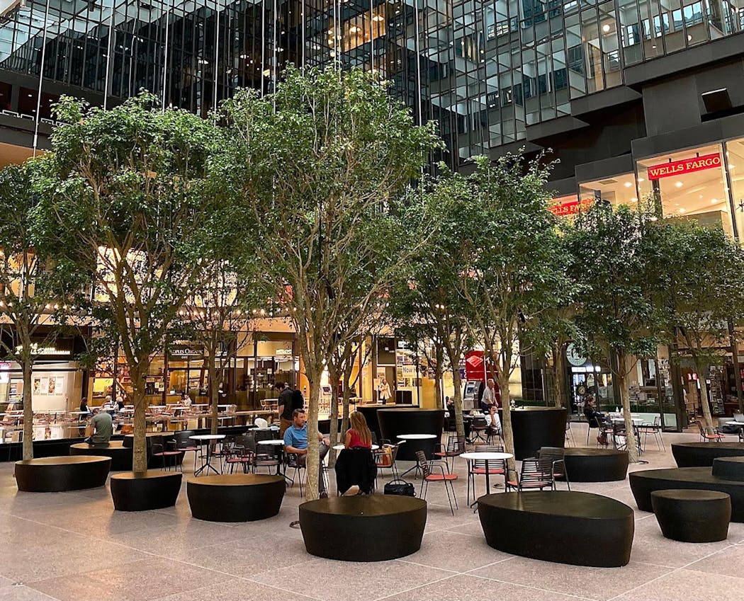 “Now you’re able to interact with the trees in a much more direct way than you could,” said Jeremiah Collatz of Perkins & Will. “You can walk right up to them. You can also circulate through the Crystal Court without having to navigate around giant granite planters.”