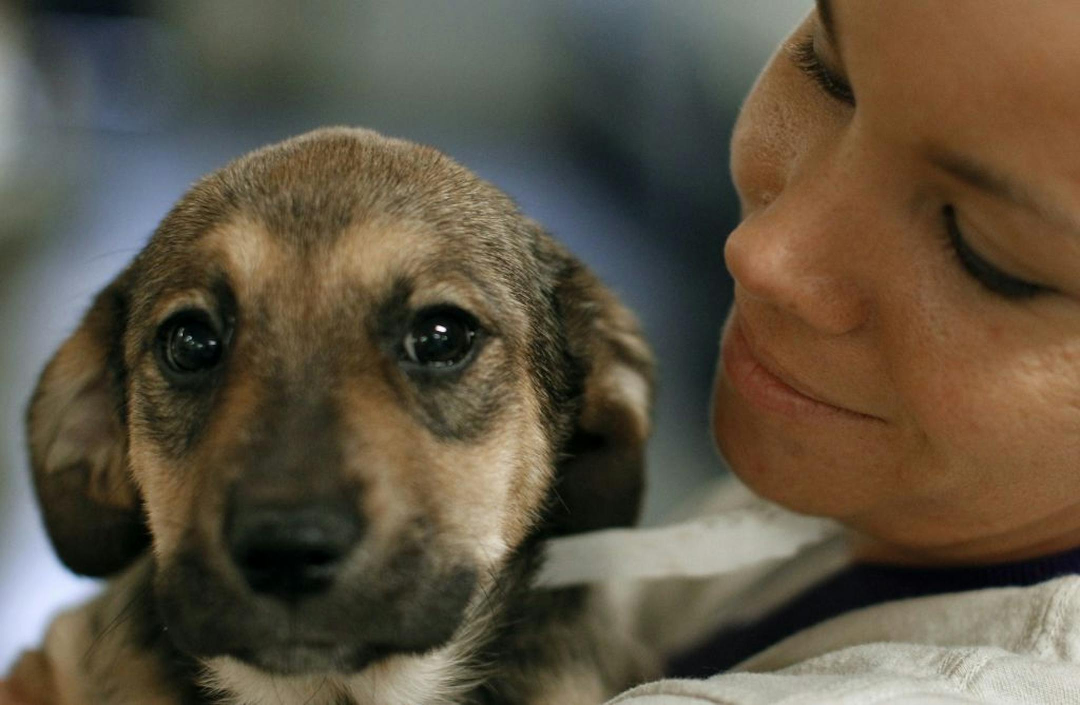 At the Golden Valley Humane Society, Mike Christman of Pipeline Rescue drove 17 hours from Atlanta to bring 40 dogs to the shelter. Animal care technician Kristina Senear held one of the puppies waiting to be immunized.