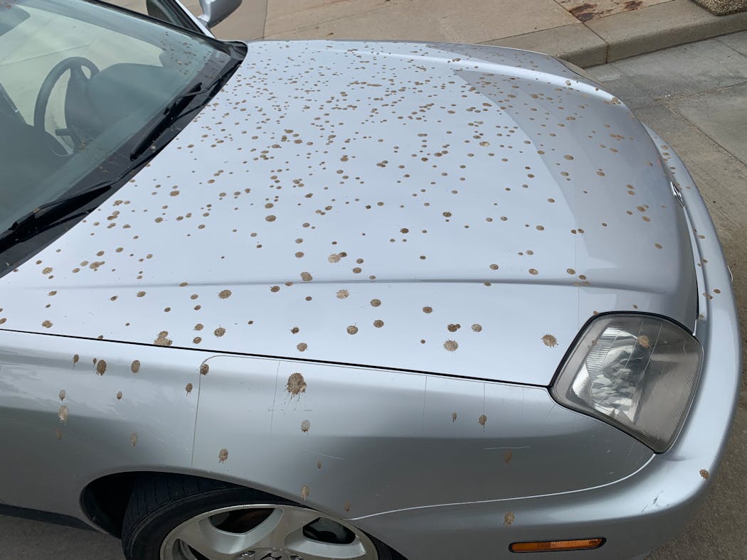 Carisa Browne’s car after it was hit by brown, smelly liquid on May 12.