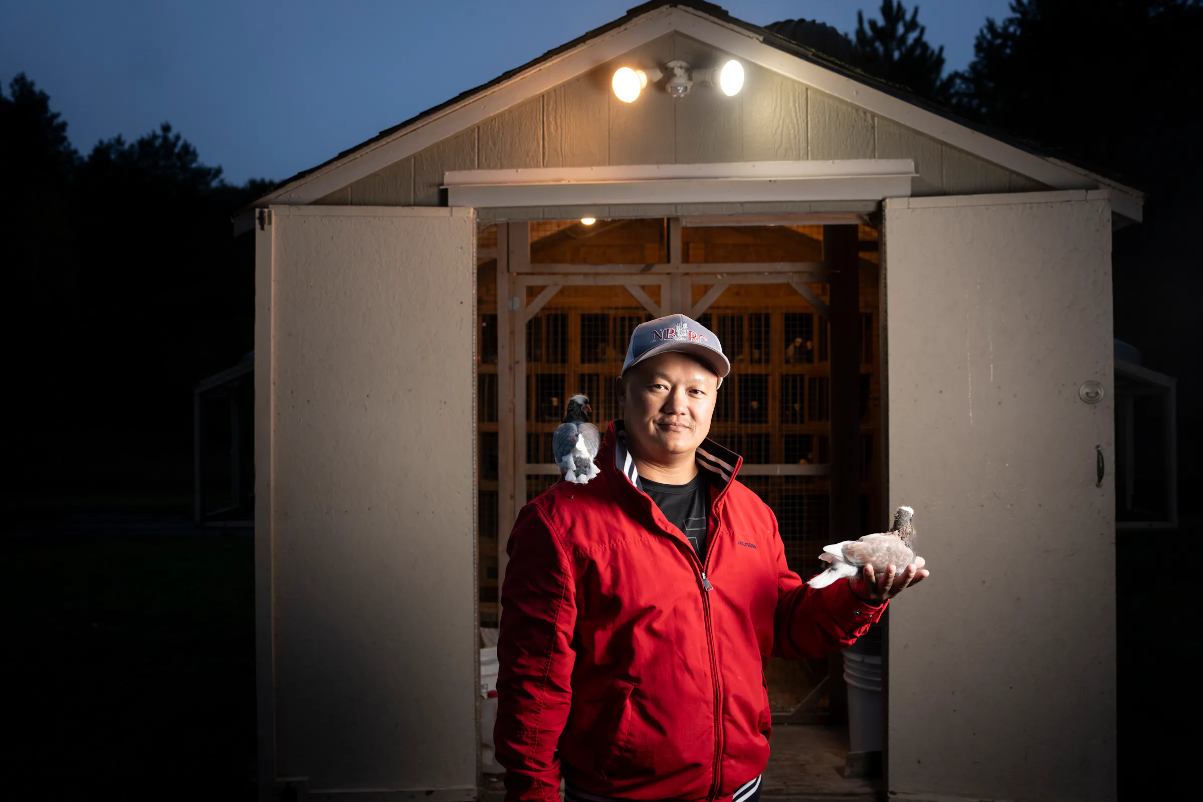 How Hmong-Americans revived Minnesota’s roller pigeon scene