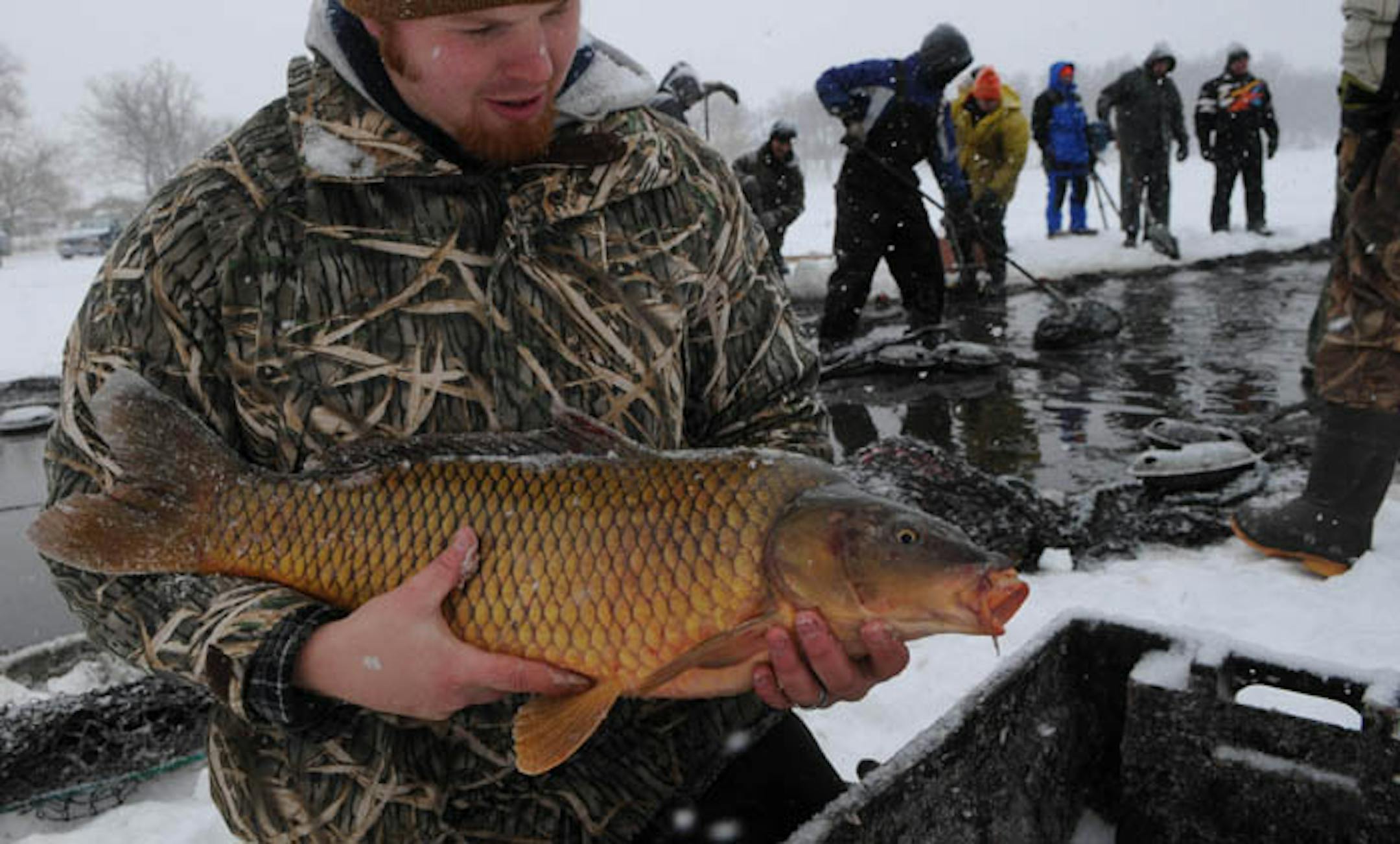 Research technician Brett Miller held one of more than 3,000 carp caught Monday on Chanhassen's Lake Susan. The work amid the snow is part of a University of Minnesota effort to eliminate the destructive bottom feeders from Minnesota lakes and help clean the waters. The carp caught Monday will be sold as food or used as compost.