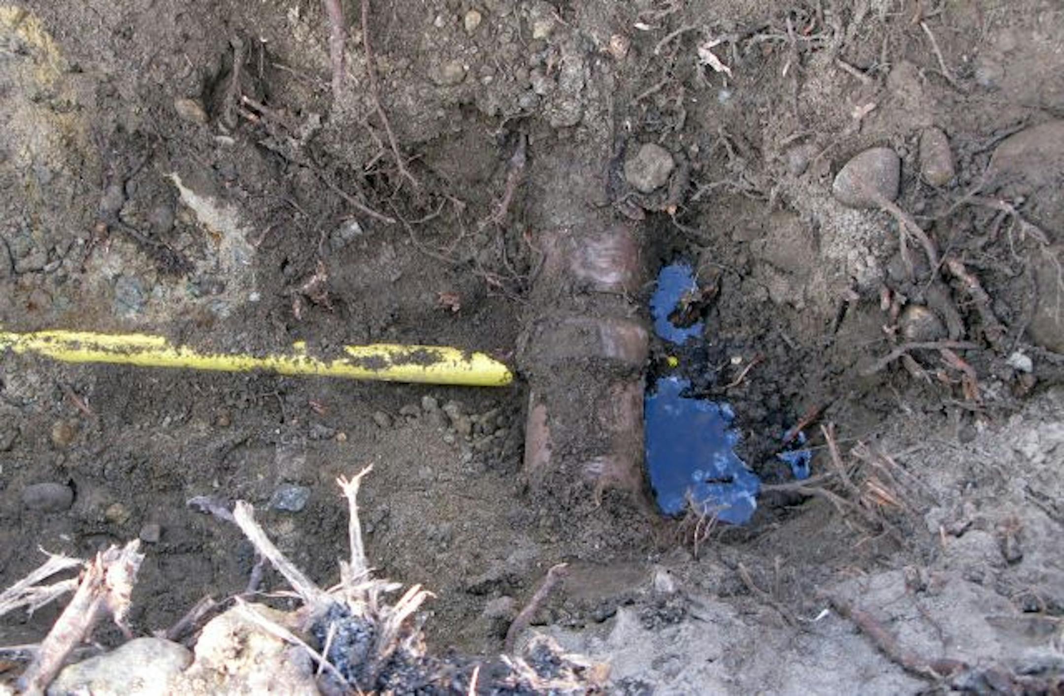 A gas main (yellow) intersects a sewer line in St. Paul.