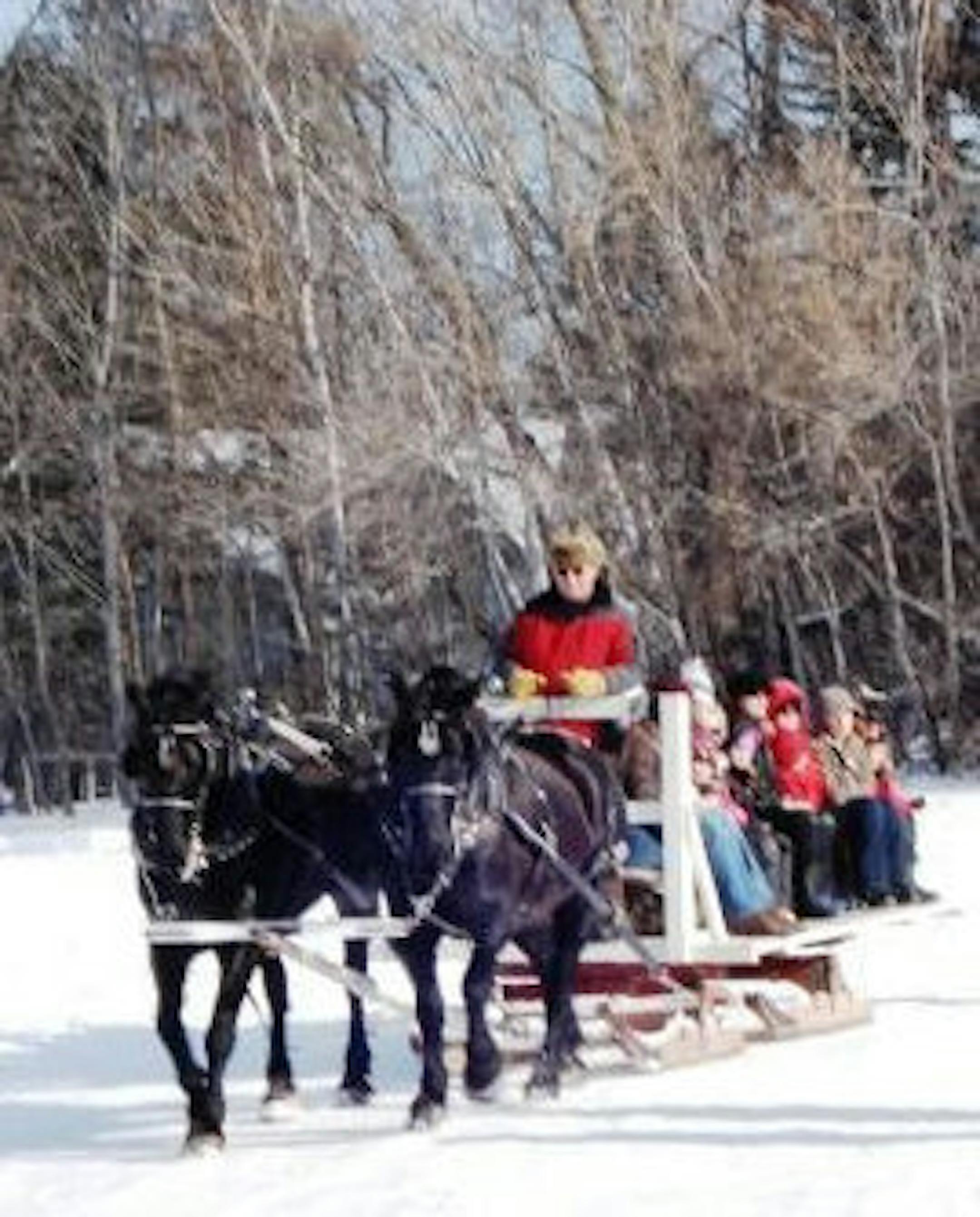 Submitted photo of Arctic Fever, the annual festival held by the cities of Shorewood, Excelsior and Tonka Bay. Submitted by the city of Shorewood.