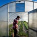Andrew Hanson-Pierre opens the door of his outdoor greenhouse where he grows various salad greens that he and wife Margaret Hanson-Pierre sell at farm