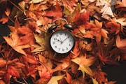 Autumn season time, retro vintage alarm clock in dry fall leaves.
