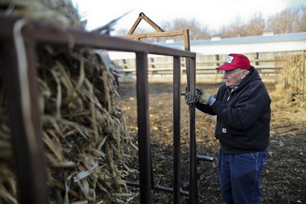 Dick Thompson chained a fence on his farm on Friday, November 30, 2012, in Boone, Iowa.