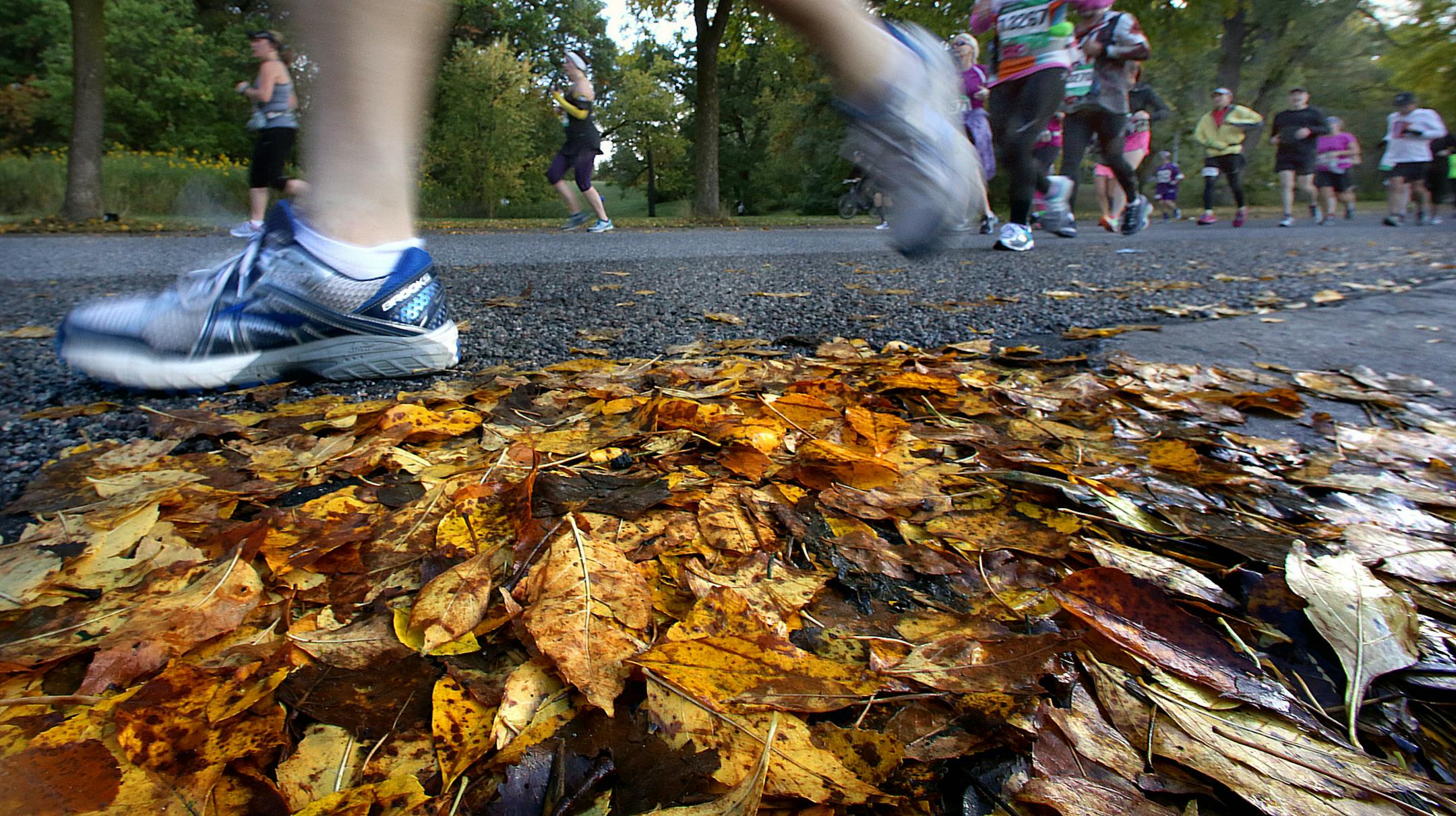 The signs of fall were evident in the Kenwood neighborhood in Minneapolis, as runners passed by leaves along the street along the marathon course. ] (JIM GEHRZ/STAR TRIBUNE) / October 6, 2013, Minneapolis/St. Paul, MN ‚Äì BACKGROUND INFO- About 12,000 runners were expected to participate in the annual Medtronic Twin Cities Marathon. The 26.2 mile course began in downtown Minneapolis and ended at the state capitol in St. Paul. Several hundred thousand spectators were expected to