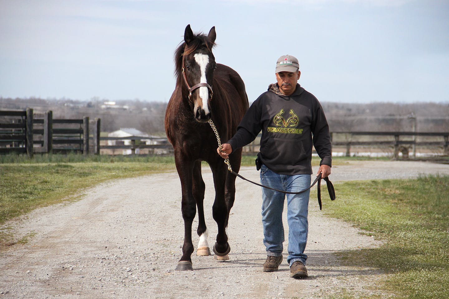 '18 dk b/br. colt; American Pharoah - One More Strike, by Smart Strike. Bred & Owned by Suzanne Stables. Foaled at Wood-Mere Farm in Minnesota.