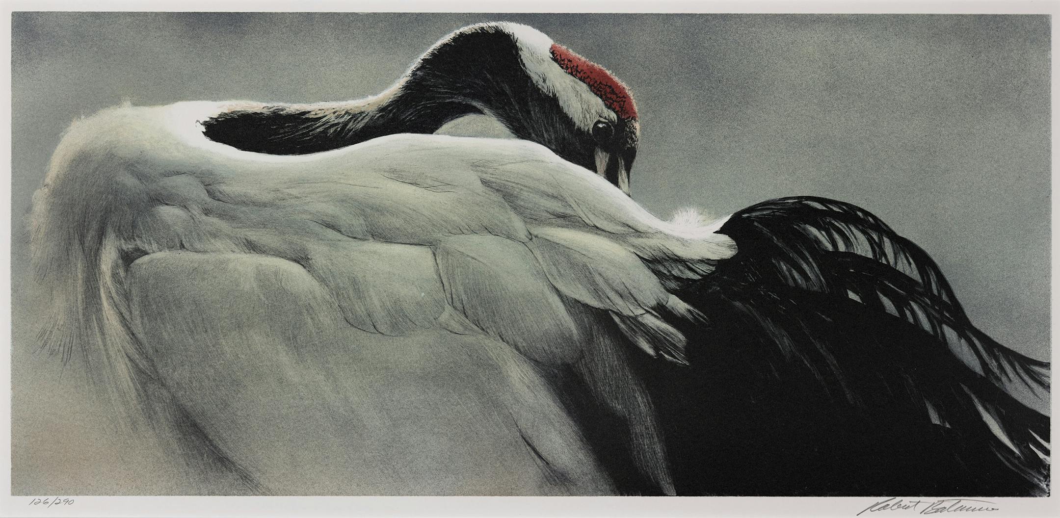 Robert Bateman's "Crowned Crane"