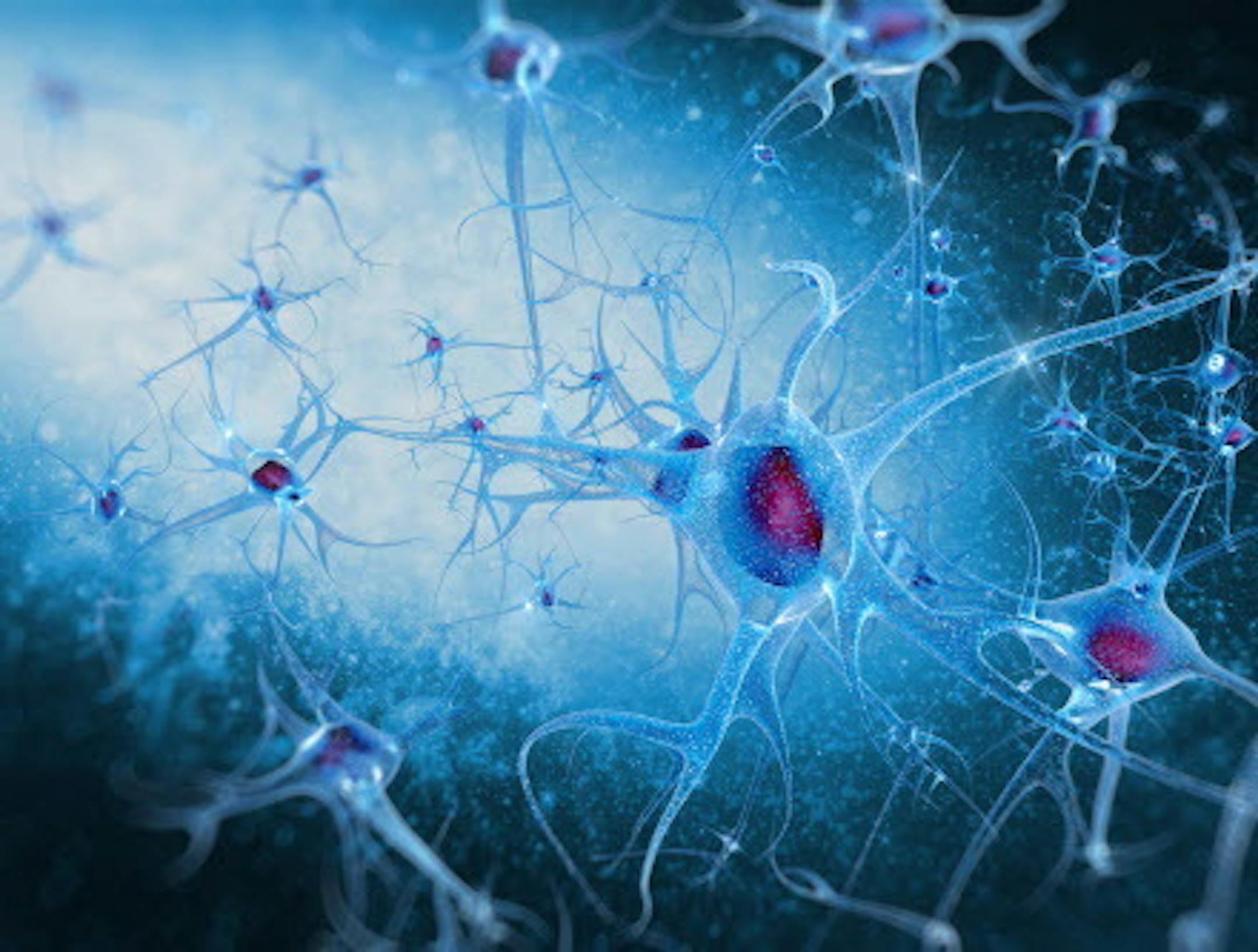 Researchers have discovered a defect in a key cell-signaling pathway they say contributes to both overproduction of toxic protein in the brains of Alzheimer's disease patients as well as loss of communication between neurons. (Photo courtesy Fotolia/TNS) ORG XMIT: 1170766