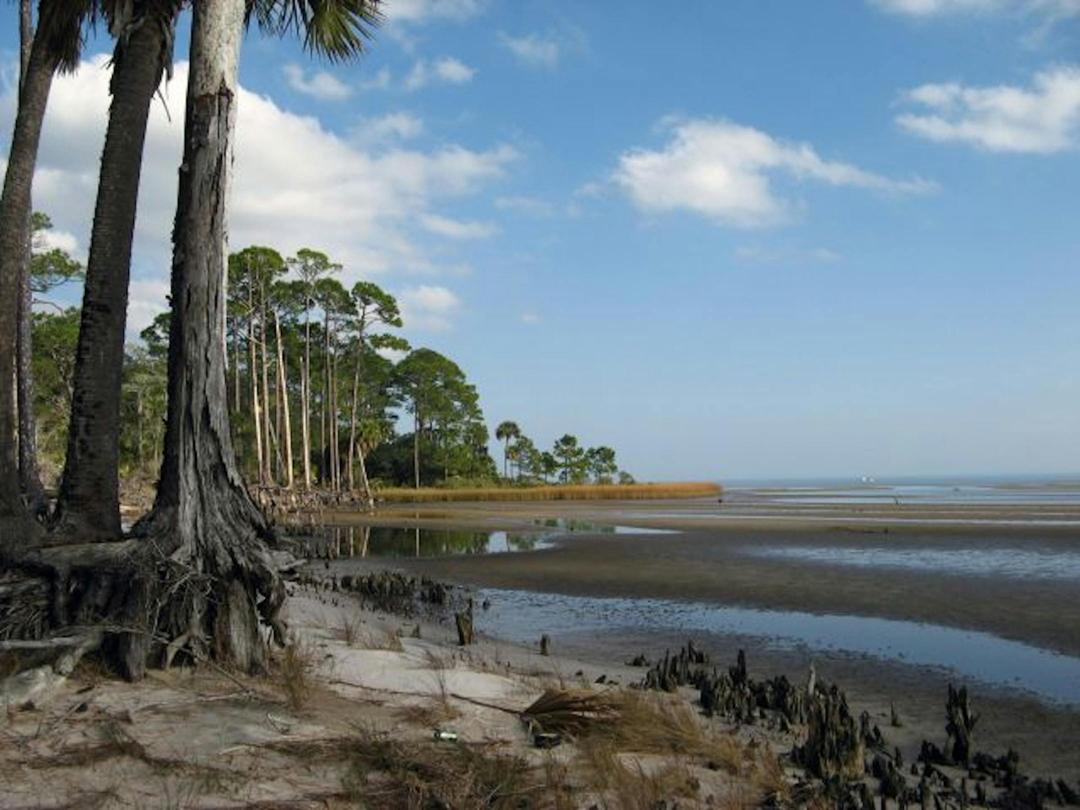 Photo by Mike Williams/Cox Newspapers slug: FLORIDA-TRAVEL20 APALACHICOLA, FLA... Apalachicola Bay is known for its slow pace, fantastic oysters and equally fantastic natural scenery(Photo by Mike Williams/Cox Newspapers) NO MAGS, NO SALES, ONE TIME USE ONLY, RECEIVER USE ONLY, EDITORIAL USE ONLY.