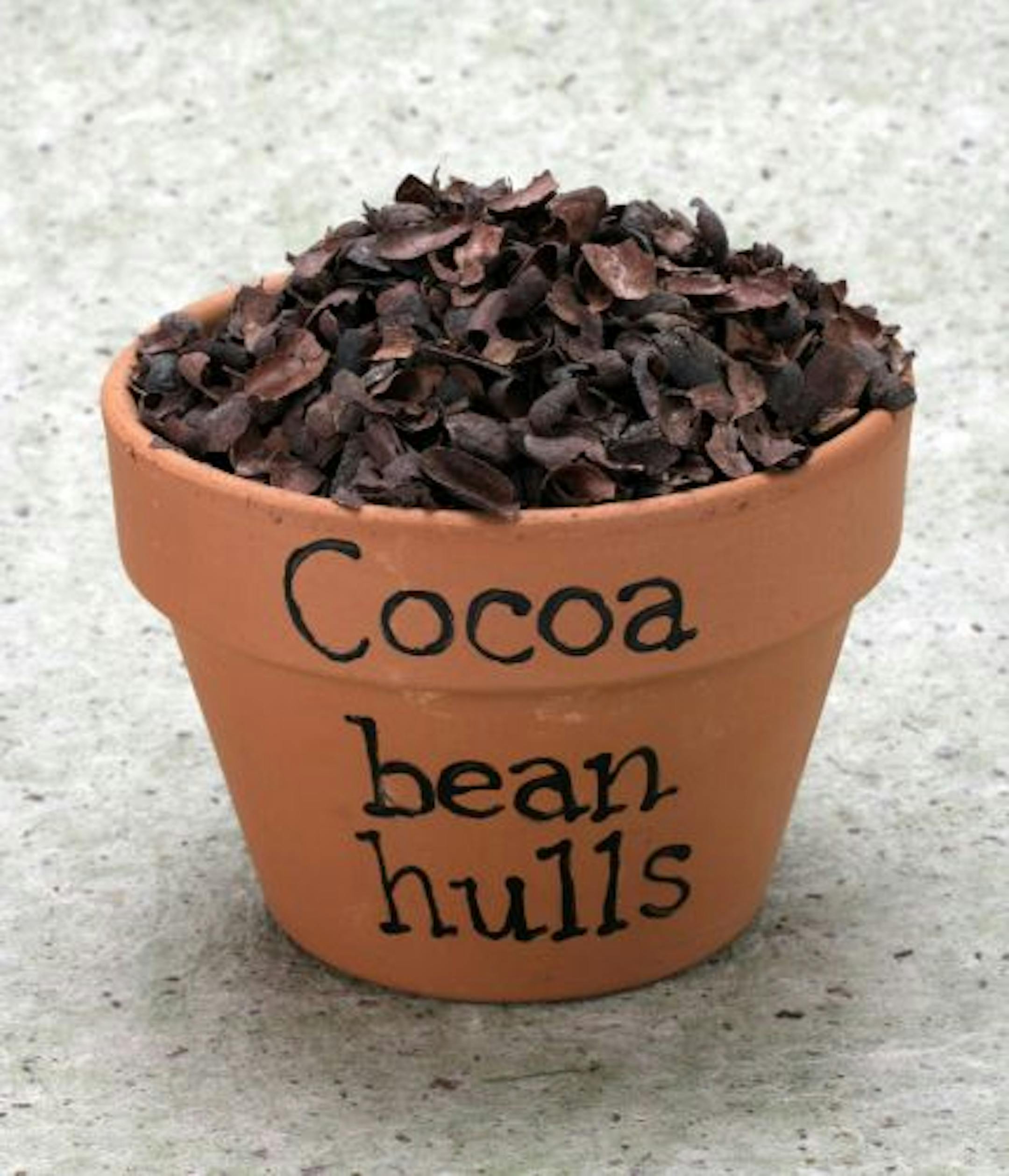 Cocoa bean hulls