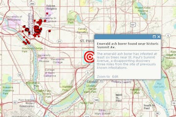 INTERACTIVE: Emerald ash borer