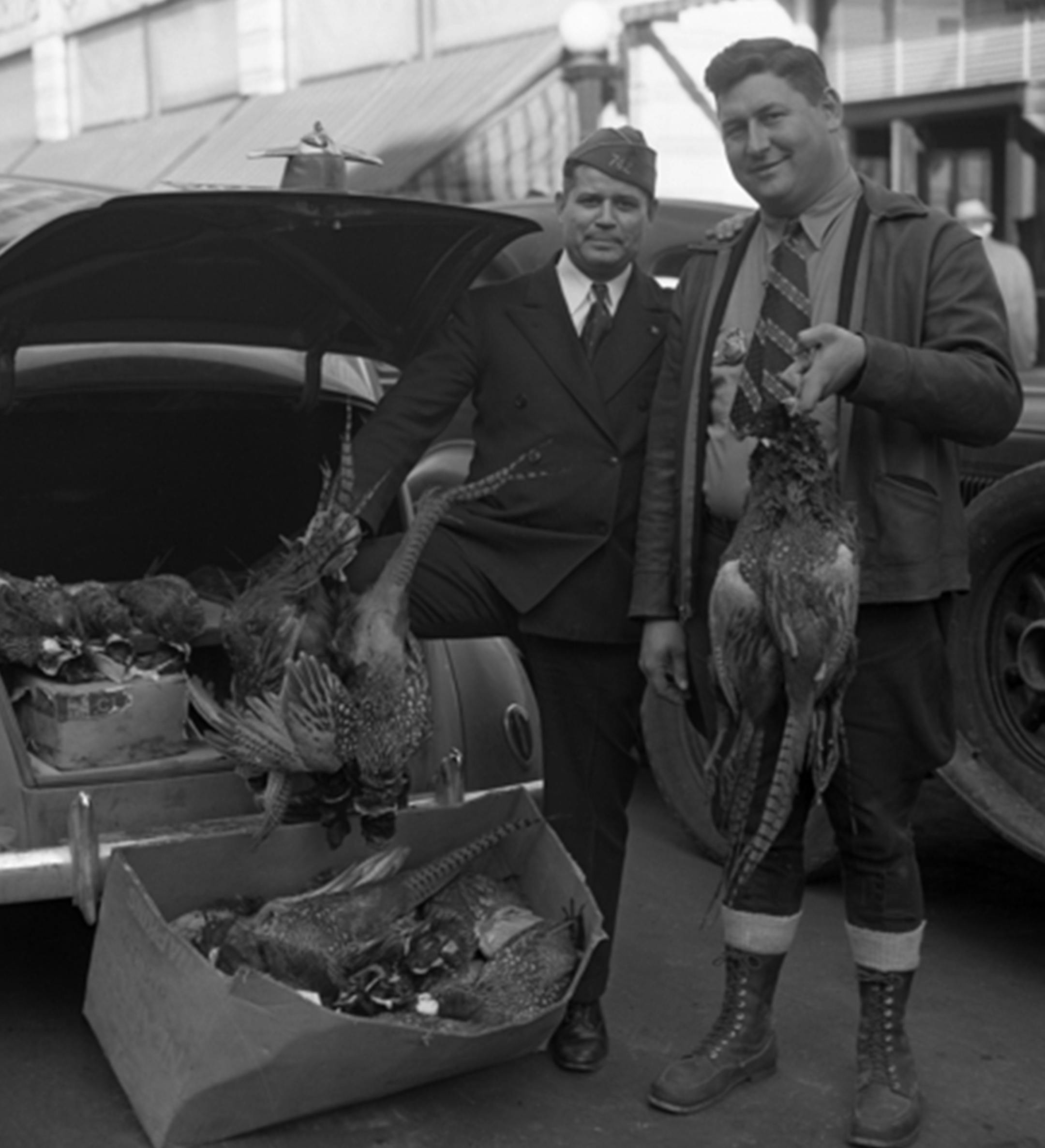 Two hunters arrive home with trunkful of pheasants in 1938. Photo courtsey Minnesota Historical Society