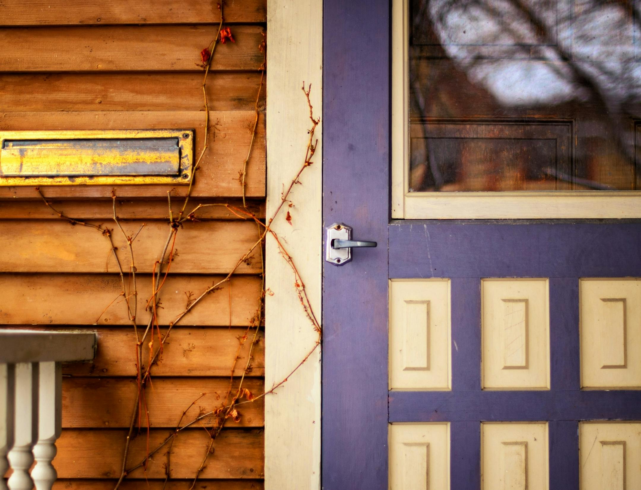 Vines climb up to a front porch door on a Milwaukee Avenue home.