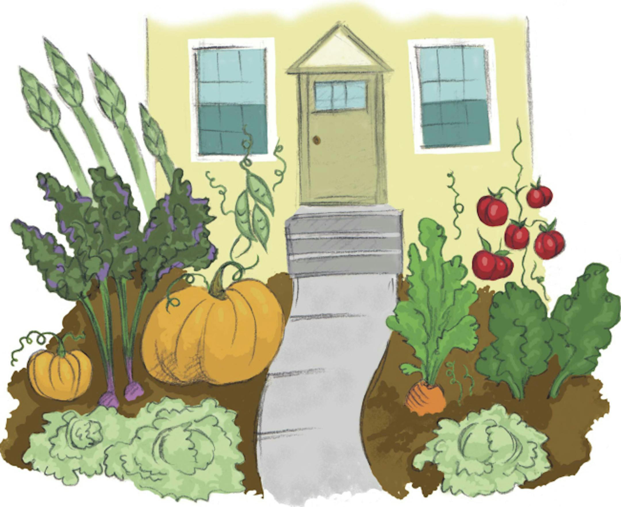 300 dpi Amanda Raymond color illustration of home vegetable garden. The News Tribune (Tacoma, Wash.) 2007<p> edible gardens illustration organic vegetable garden food yard house asparagus pumpkin squash peas lettuce tomatoes carrots beet spinach vegetarian fertilizer farm farmer krtfeatures features, krtnational national, krtworld world, krtfood, krtgarden, gardening, krt, mctillustration, vegetal jardin organico tomate calabaza aspecto aspectos hogar comida ilustracion ecologico grabado tc cont
