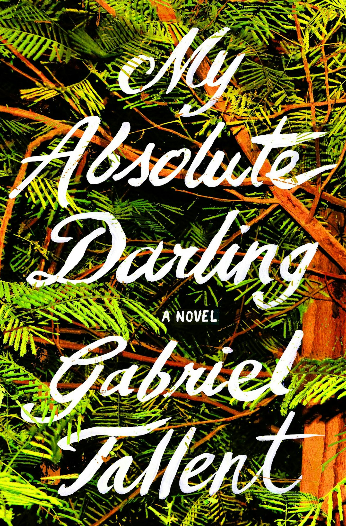 "My Absolute Darling," by Gabriel Tallent