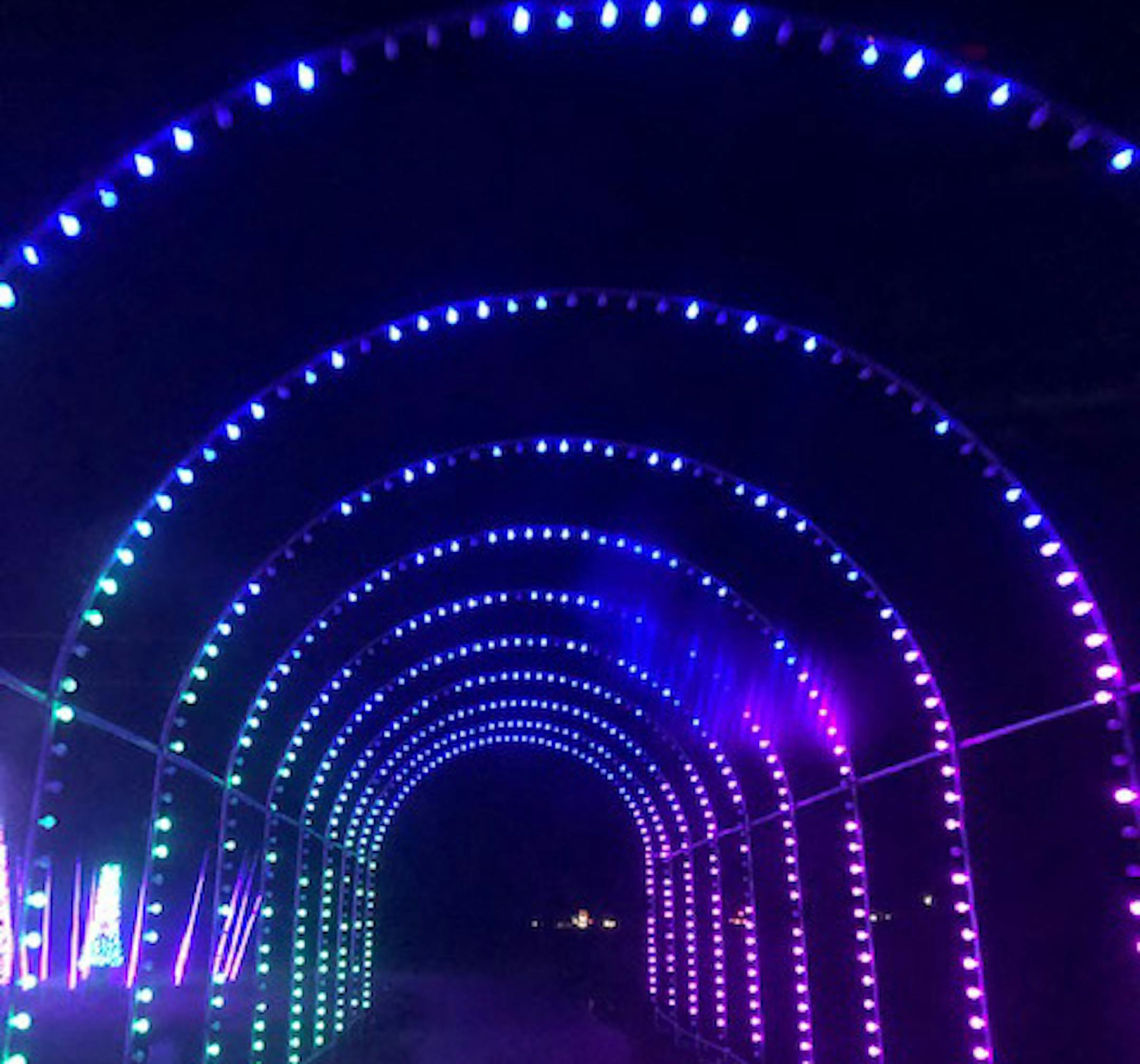 Sever's Holiday Lights