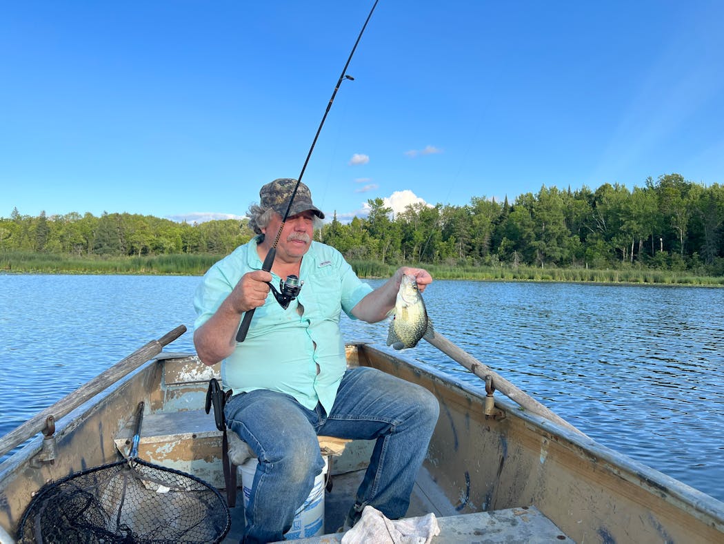 Minnesota has a chance to have improved sizes of crappies and sunfish, Dallas Hudson believes, thanks to new DNR regulations that lower limits on the species.