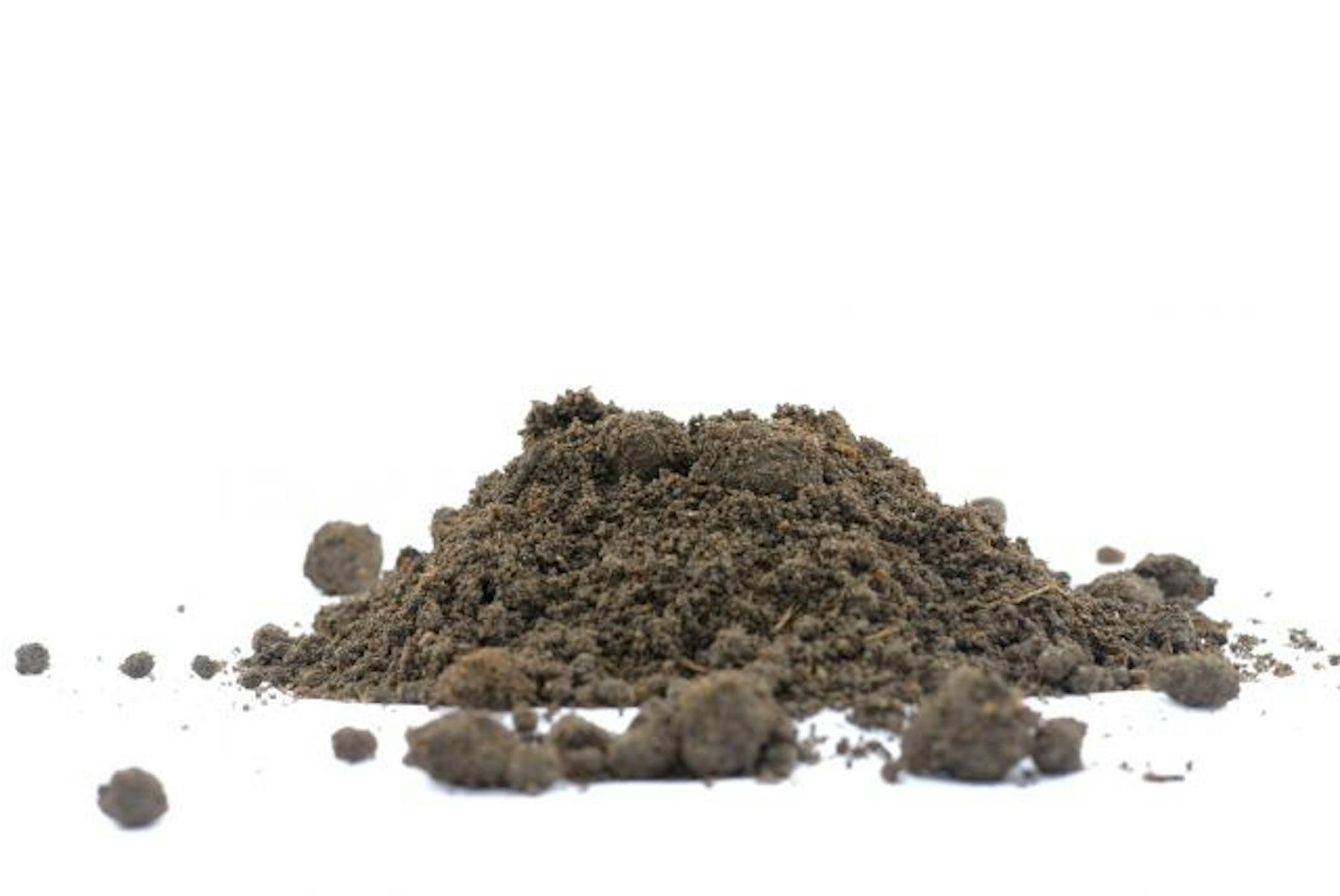 Green burials is the ultimate recycling.