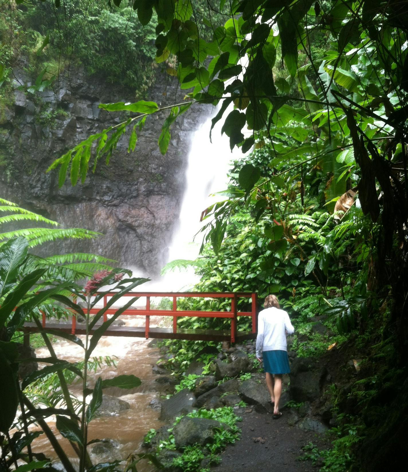 Adam Belz Tahiti travel story, This is one of a series of cataracts on the north side of Tahiti, fueled by a downpour.