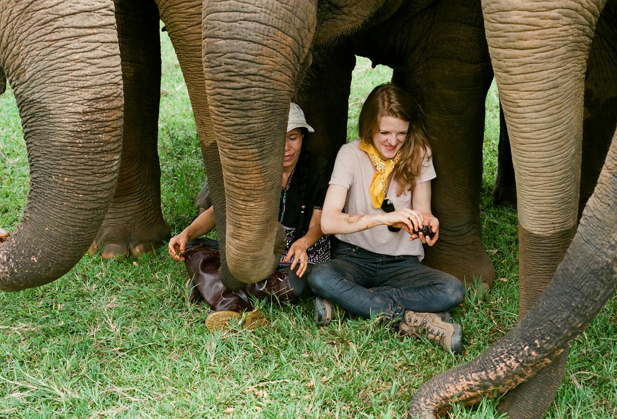 Ashley Bell in "Love & Bananas: An Elephant Story."