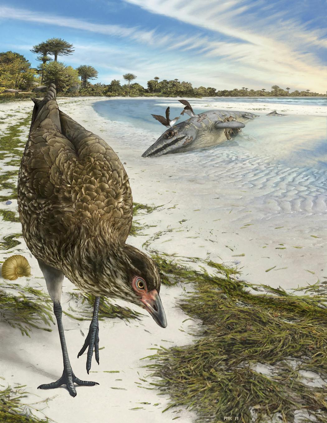 The world's oldest modern bird, Asteriornis maastrichtensis, nicknamed the Wonderchicken, in its original environment. The animal lived just before the asteroid impact that's blamed for killing off many species, most notably the giant dinosaurs.