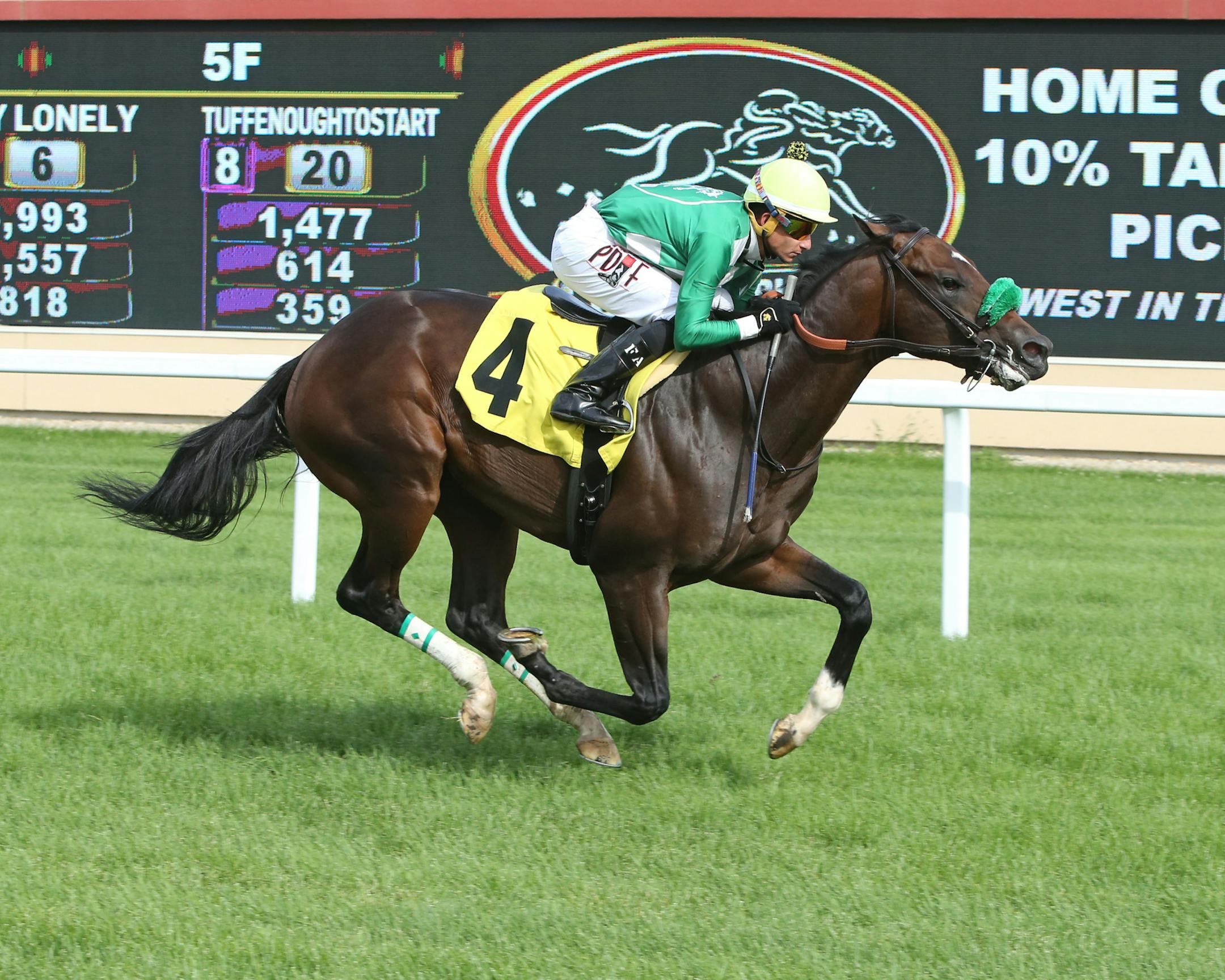 Bodenheimer is the offspring of another Breeders' Cup horse, Atta Boy Roy. He's shown running at Canterbury on July 29 with jockey Francisco Arrieta.