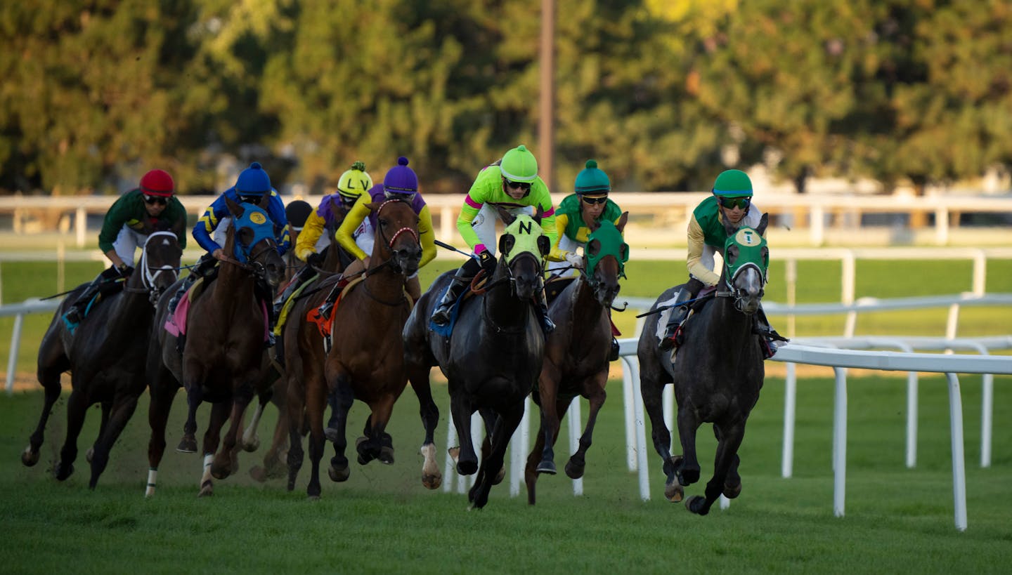 Ruben Fuentes atop Rush Hour Traffic, on the far right, won the $100,000 Princess Elaine Minnesota Distaff Turf Championship. ] JEFF WHEELER • jeff.wheeler@startribune.com