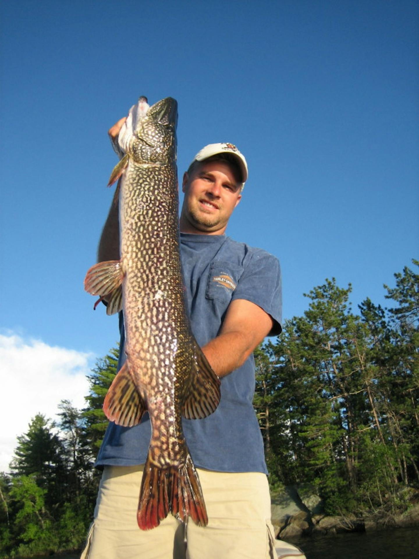 Rainy Lake pike are a dime a dozen.....Walleyes are a nickle.