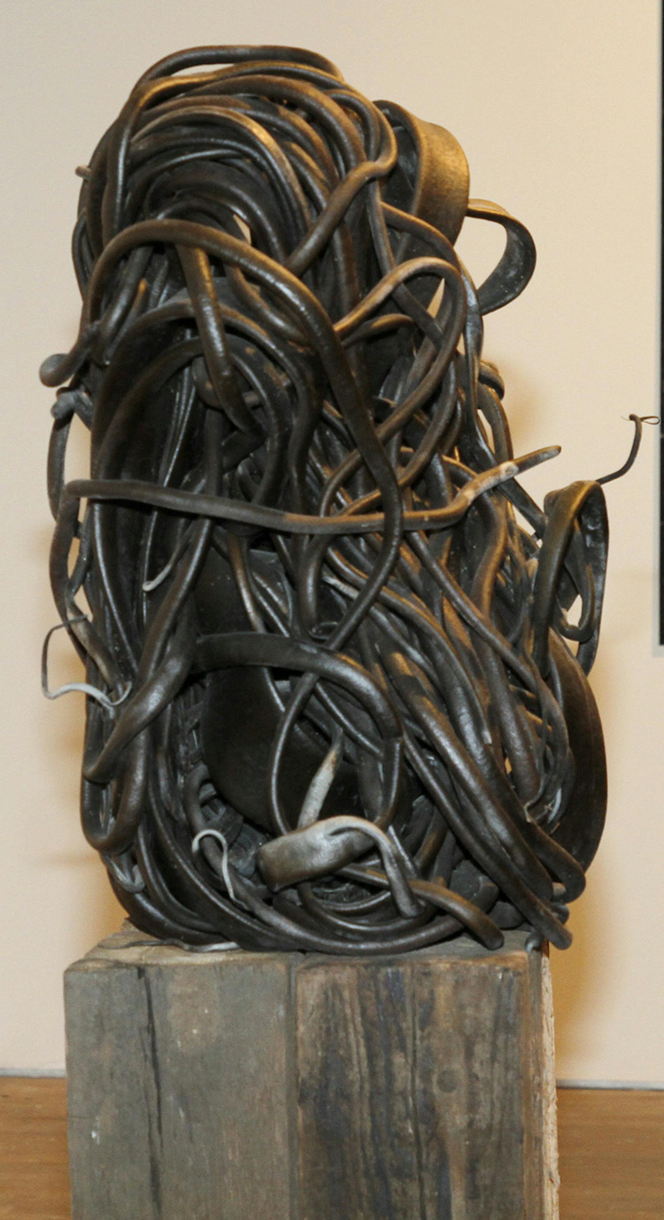 Alexa Horochowski's videos, sculpture and photos at the Soap Factory, very surrealistic and baroque stuff made of Chillean kelp, steel, concrete. ] Tom Sweeney, Minneapolis, MN 9/12/2014