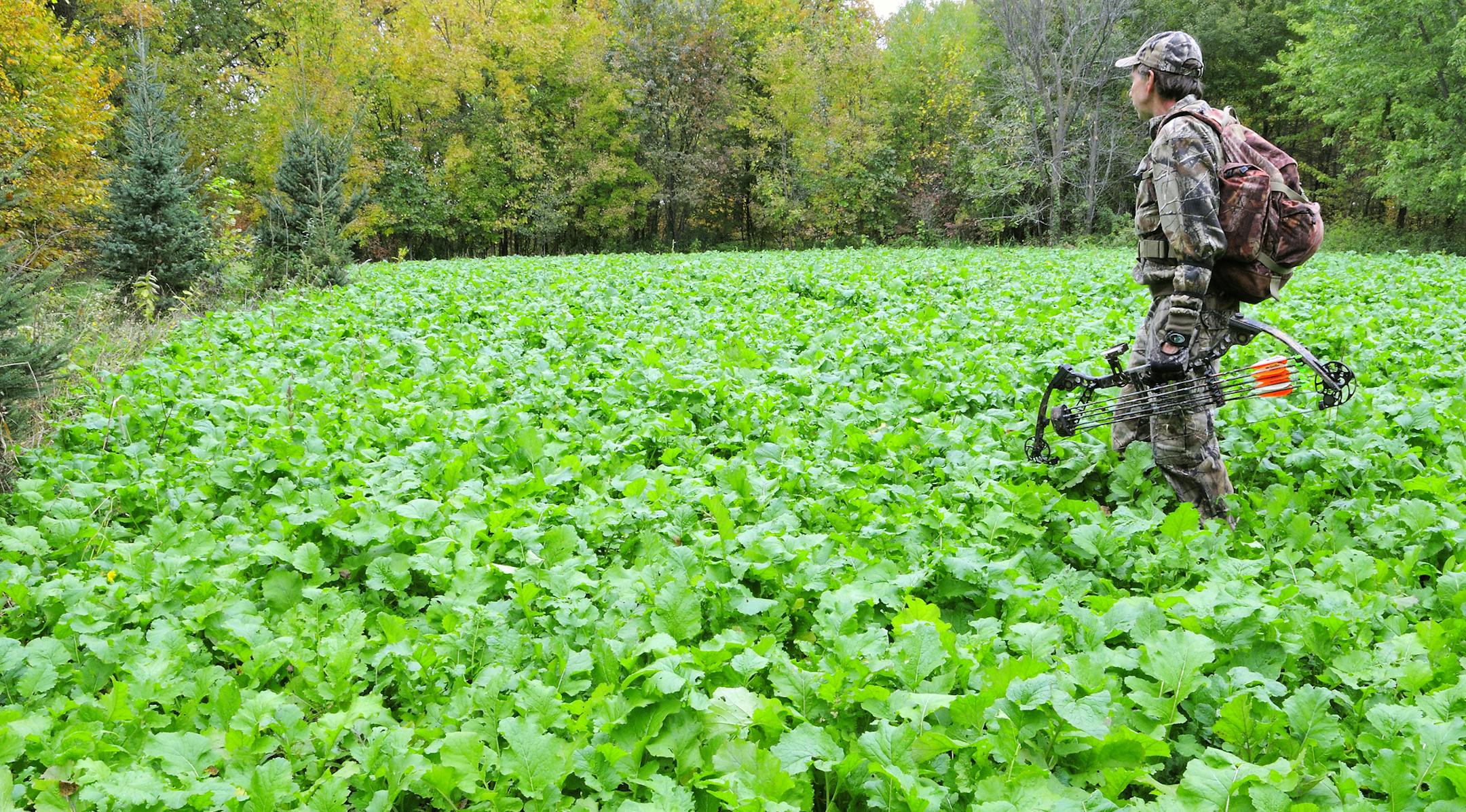 Marchel used his handheld GPS to calculate the acreage of this irregular shaped wildlife food plot. He used that information to determine the proper amount of lime, fertilizer and seed, resulting in a lush plot.