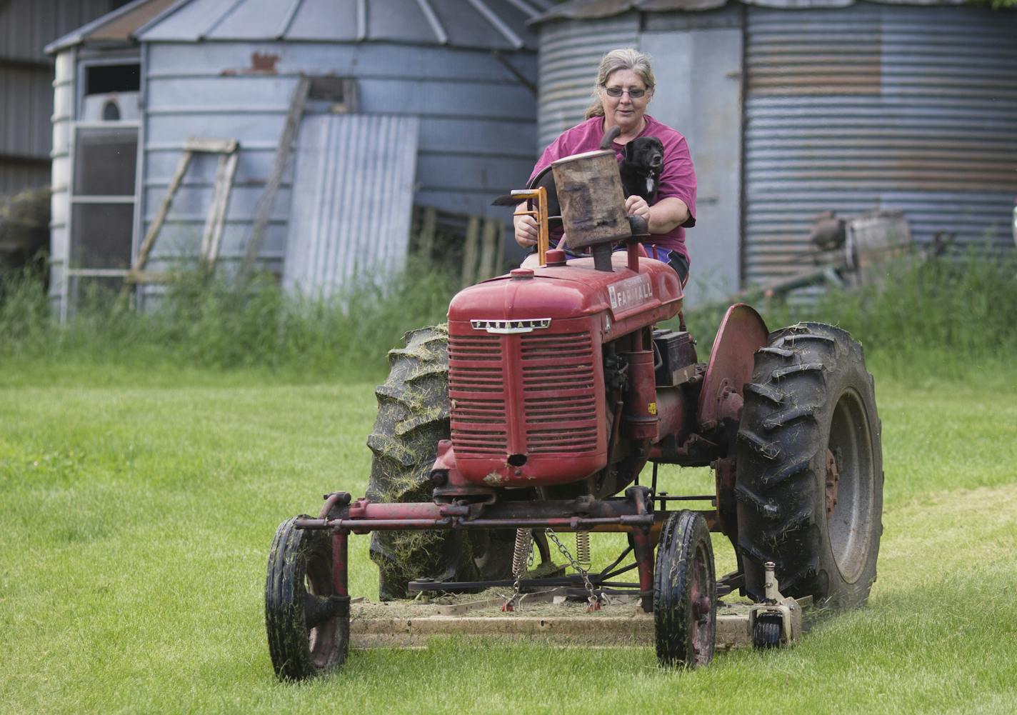 Lori Guenther mowed the lawn with her dog on Wednesday, June 24, 2015, in Waubun, Minn. Guenther found her father in a field after he fell asleep while driving a tractor baling hay. ] RENEE JONES SCHNEIDER &#x2022; reneejones@startribune.com