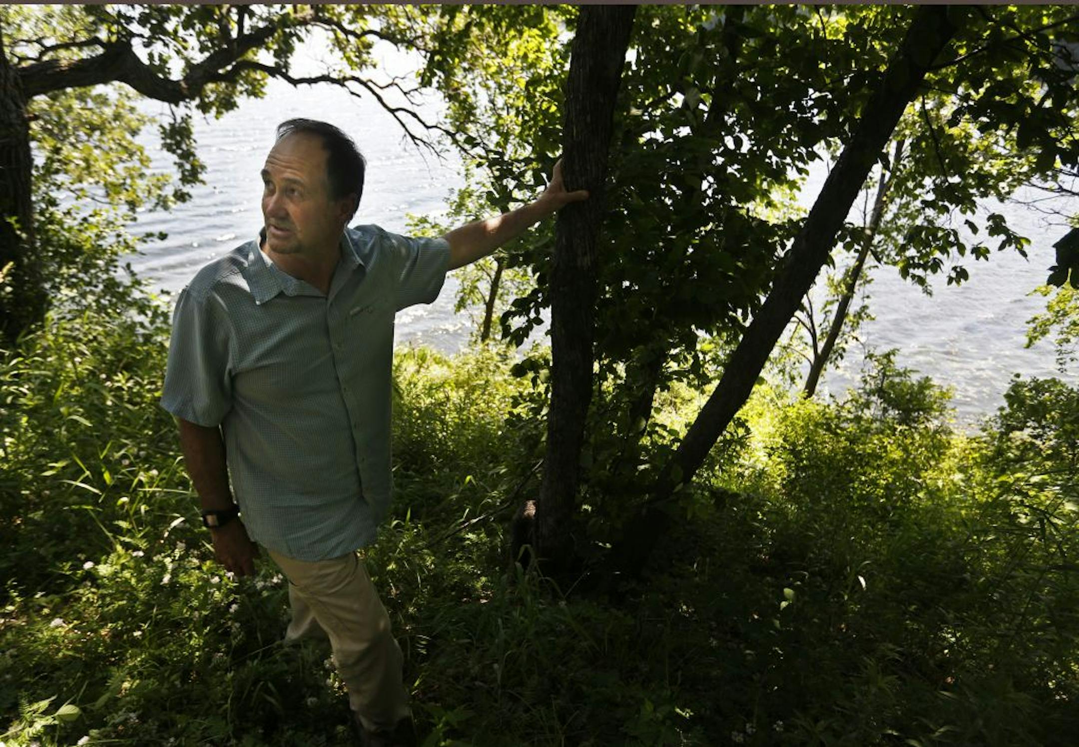 In Minnetrista, David W. Thill, a natural resources specialist with Hennepin County who has helped manage the land at Camp Kingswood, points out an ironwood tree. The camp has been a United Methodist Church-sponsored youth camp since 1947, but is being bought by Three Rivers Park District.