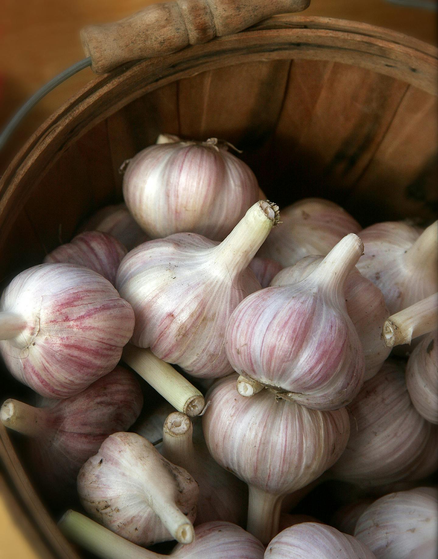 Tom Wallace/Star Tribune For organic0811. Featherstone and Rockspring Farms are Certified Organic, and are selling at the Rochester downtown Farmers Market. From many growers around the city, products of locally produced organic-natural foods, including milk, butter, kettle corn, cookies, syrup, ice cream, soup. Garlic at the Featherstone stand.